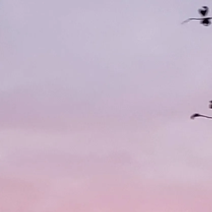 chat with ai character: OBXXX