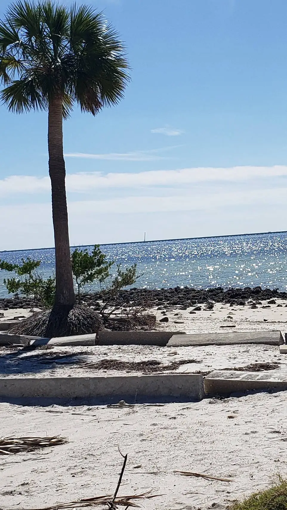 ai character: Obx😊🏐😍 background