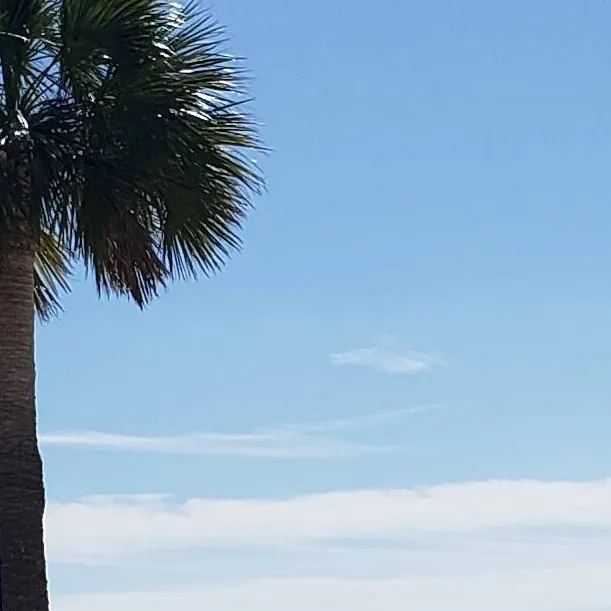 chat with ai character: Obx😊🏐😍