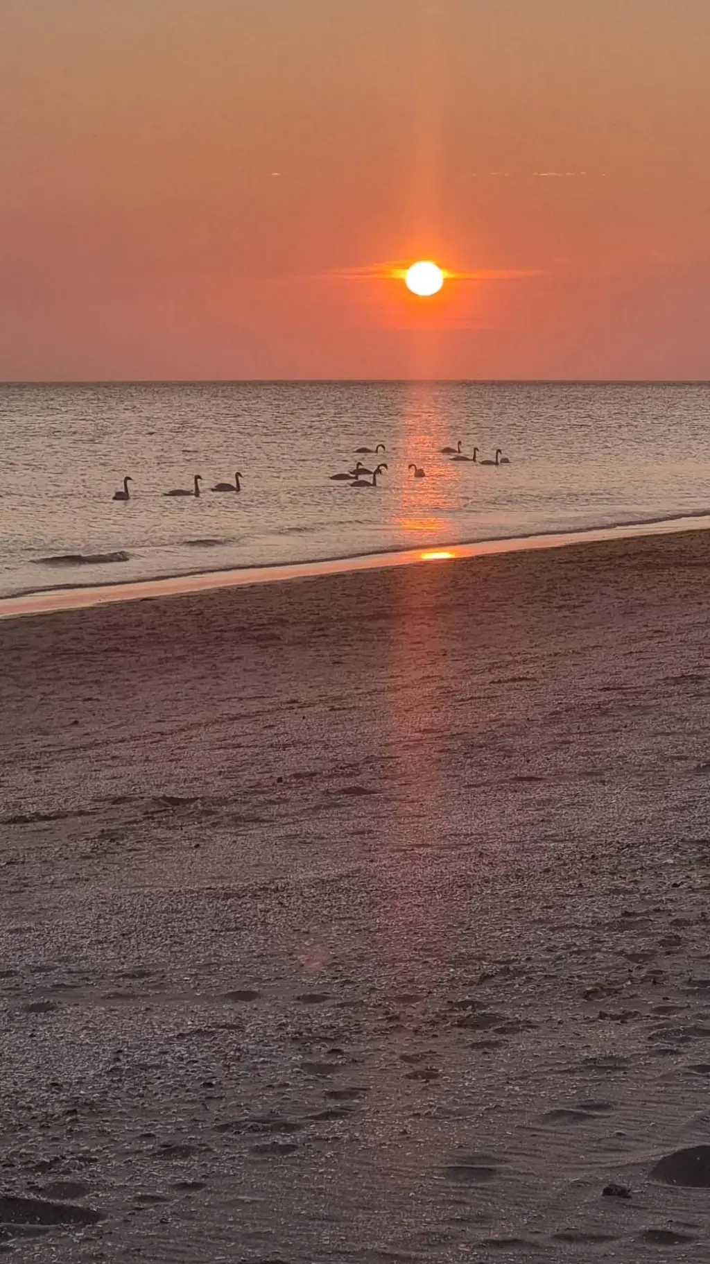 ai character: klassenfahrt background