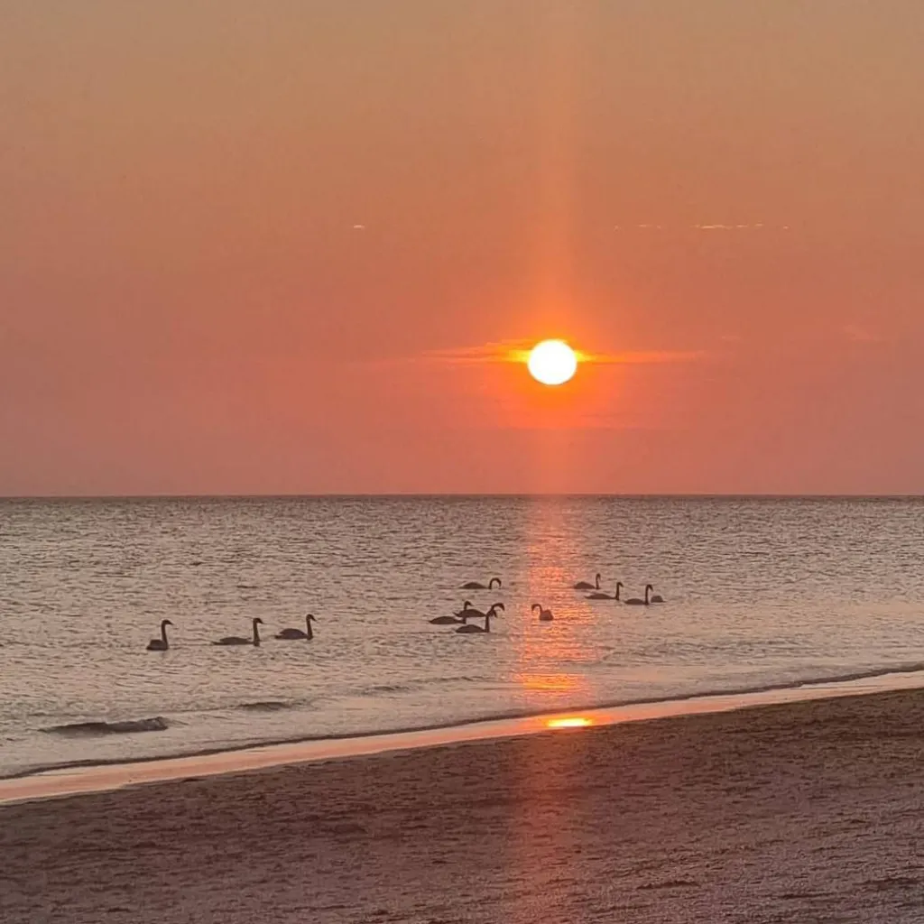 chat with ai character: klassenfahrt