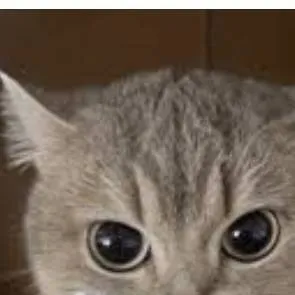 chat with ai character: hater killer