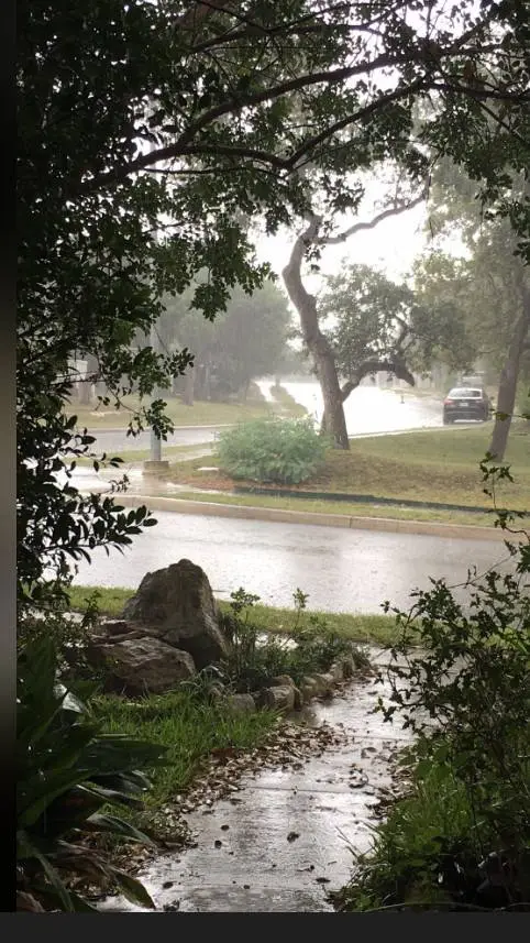 ai character: Roarr  background