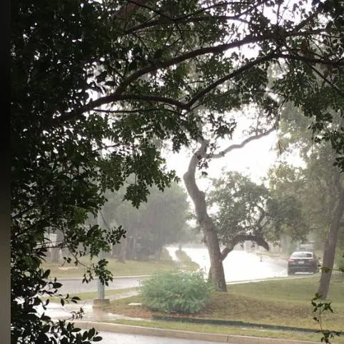 chat with ai character: Roarr 