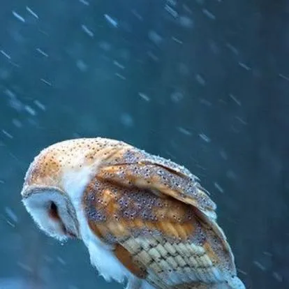 chat with ai character: Marionette