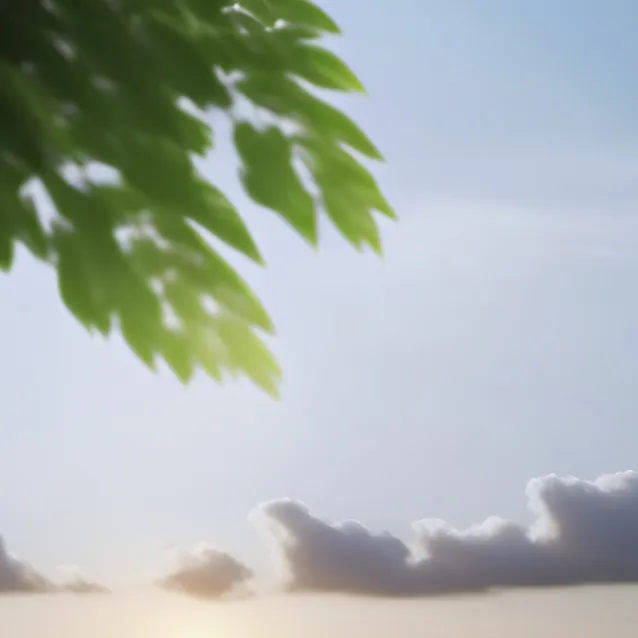 chat with ai character: Enhypen beach trip