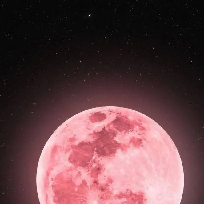 chat with ai character: secret heir