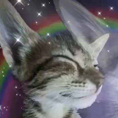 chat with ai character: HH ☆