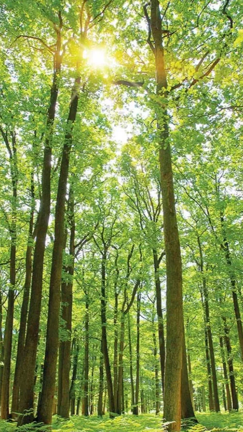 ai character: Zombies 2 background