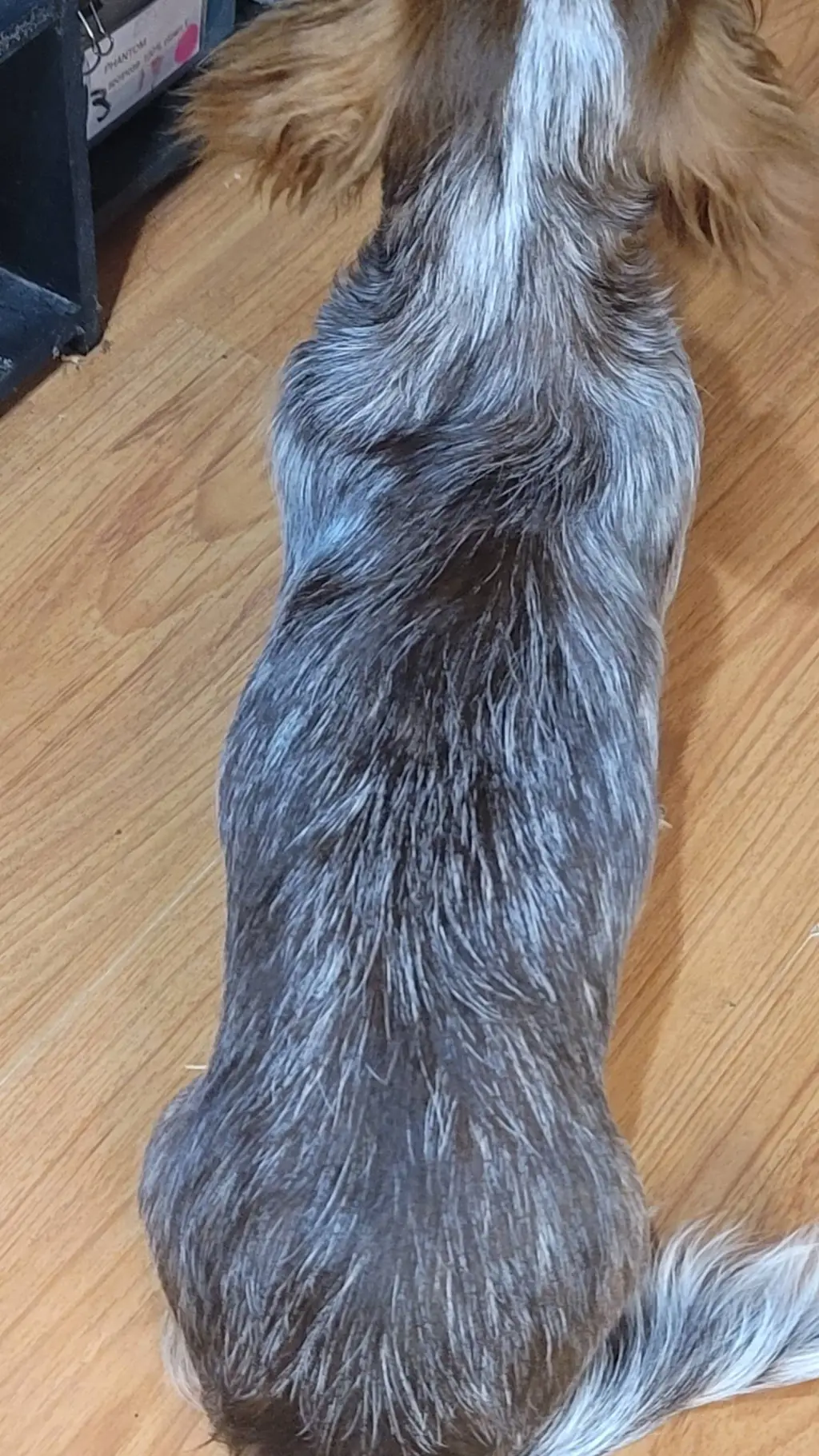 ai character: charlie background