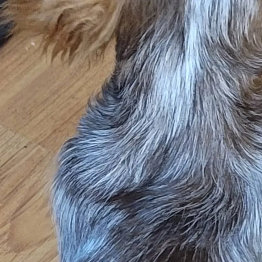 chat with ai character: charlie