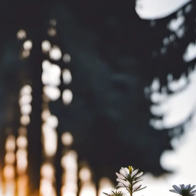 chat with ai character: 💝《COD Group》💝