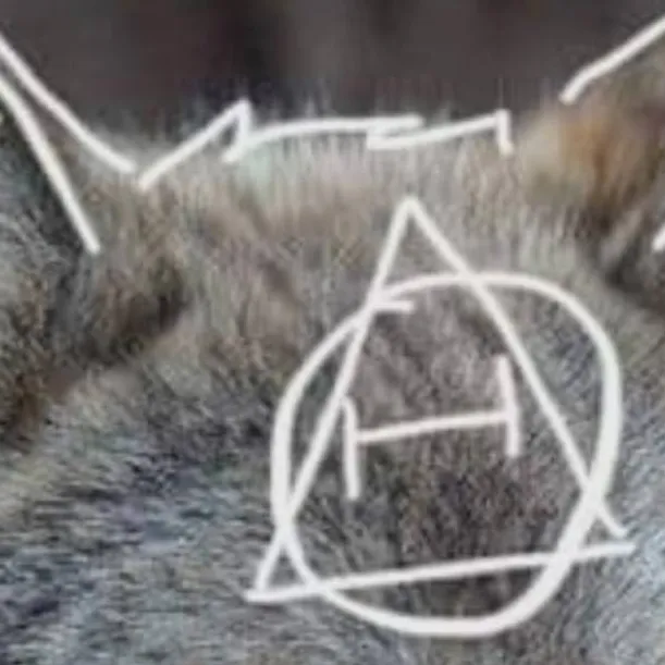 chat with ai character: Your therian/furry