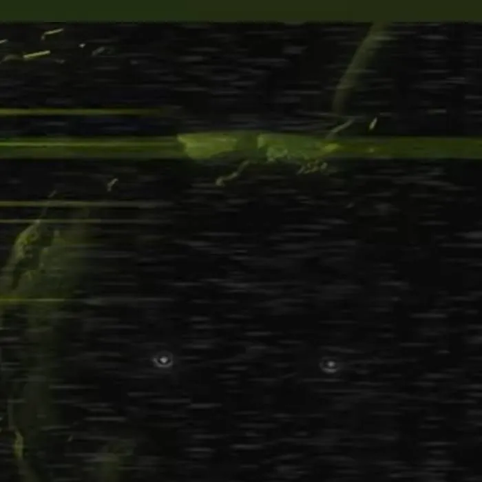 chat with ai character: FNaF 3