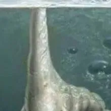 chat with ai character: hand sea monster 