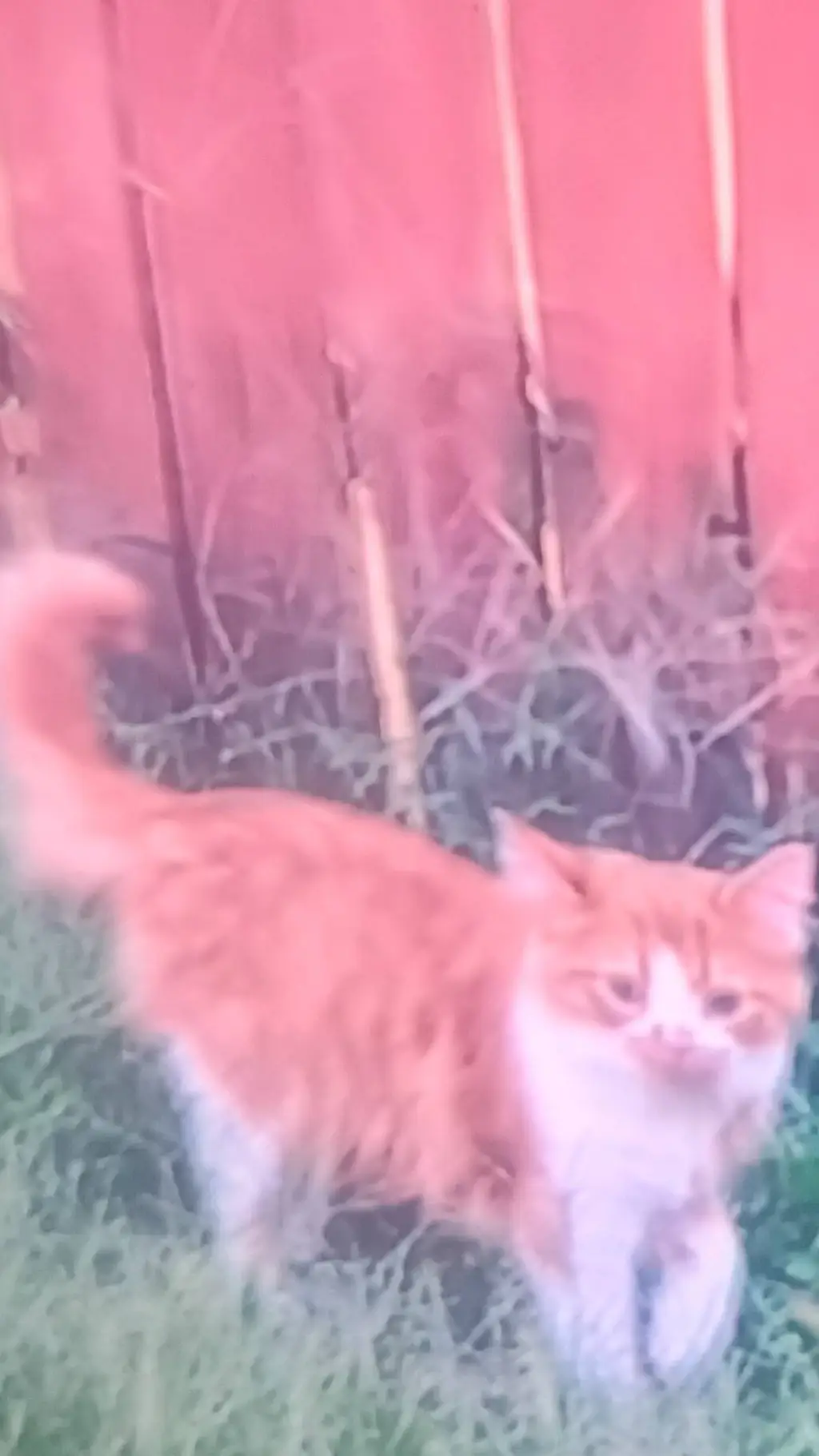 ai character: sprunki camping  background