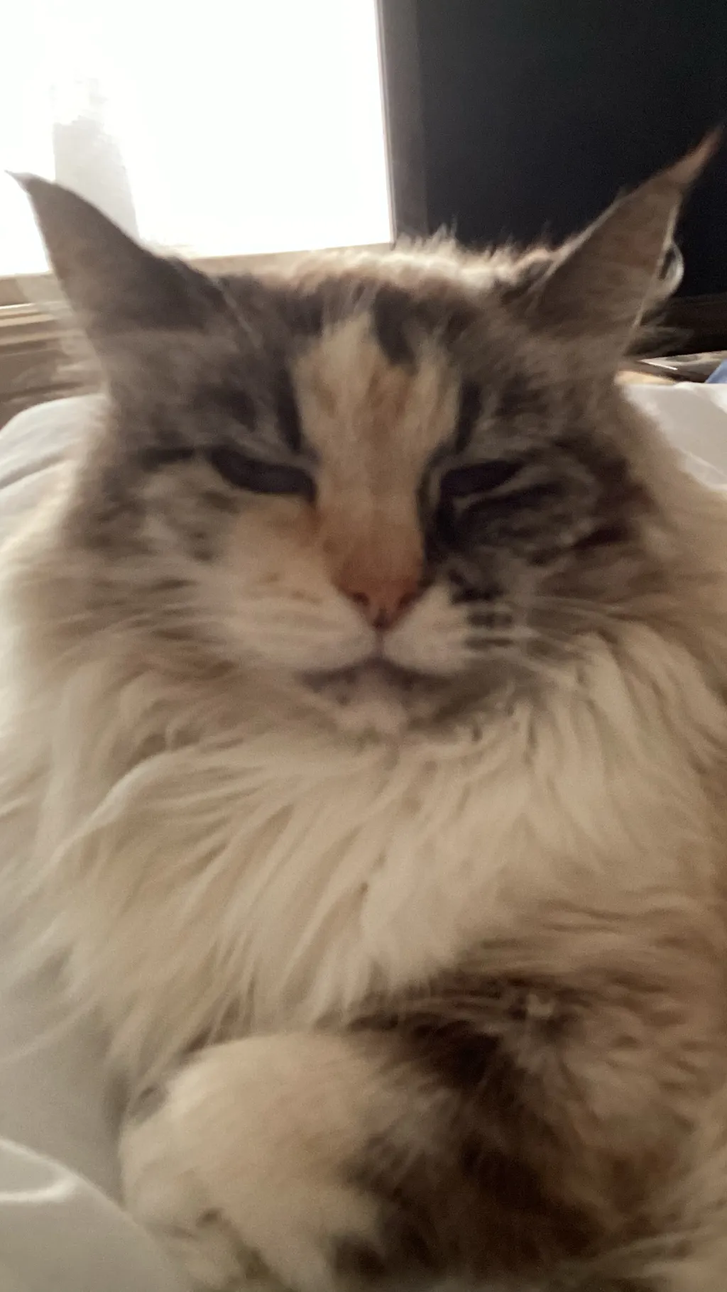 ai character: Fossilcleaning background