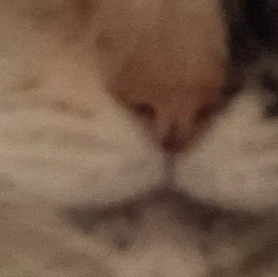 chat with ai character: TM Opera o x doto