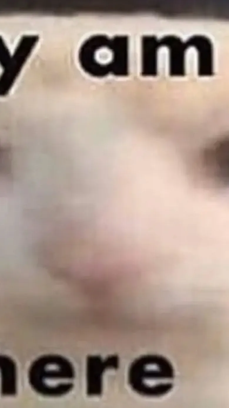 ai character: Oguri x rudolf background