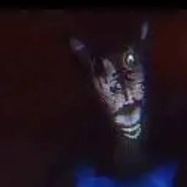 chat with ai character: Analog horror wolf