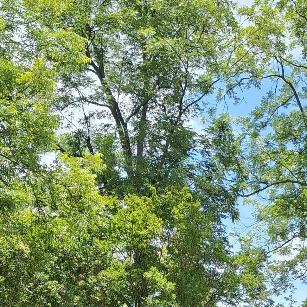 chat with ai character: your life