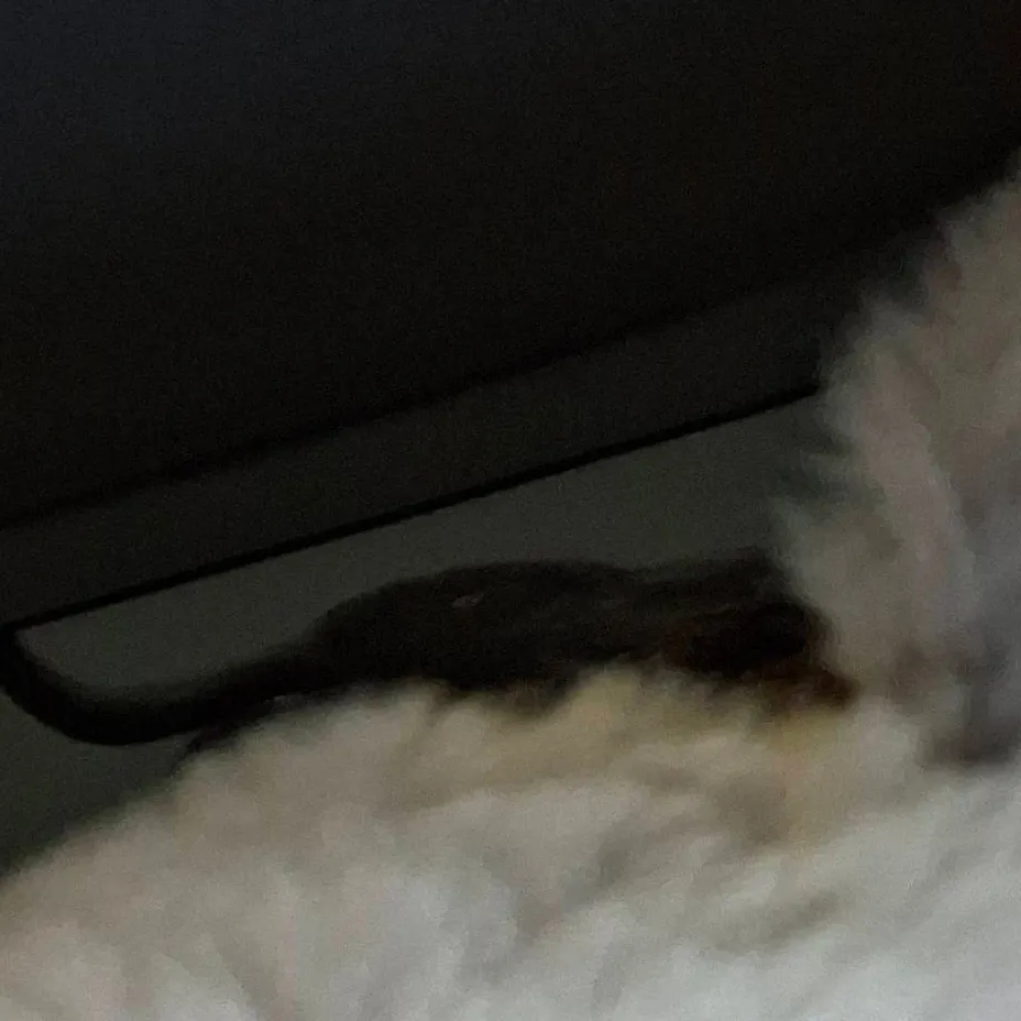 chat with ai character: ~MHA REQUEST~