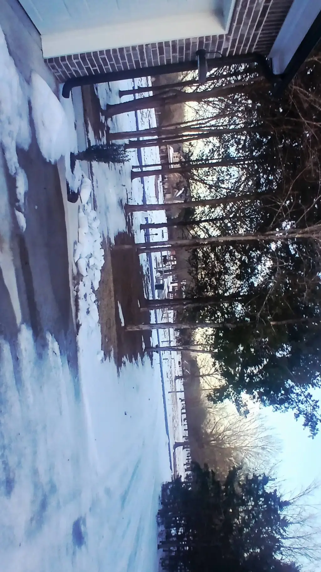 ai character: Blissful Studios background