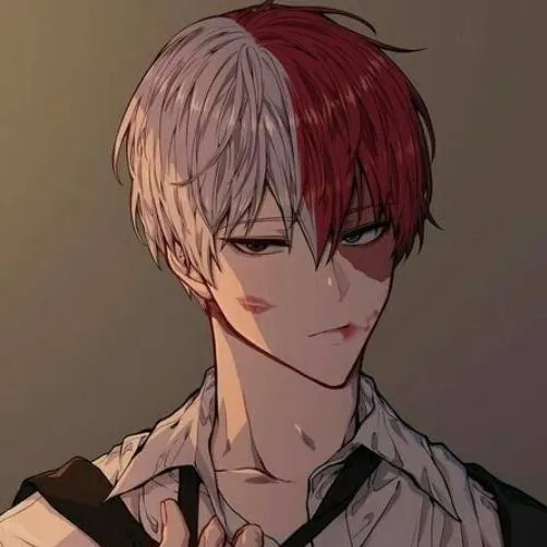 chat with ai character: ❤🤍shoto Todoroki❤🤍