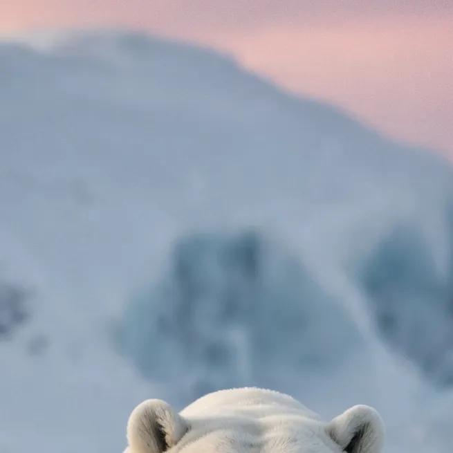 chat with ai character: shrug