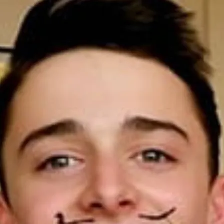 chat with ai character: Noah schnapp!