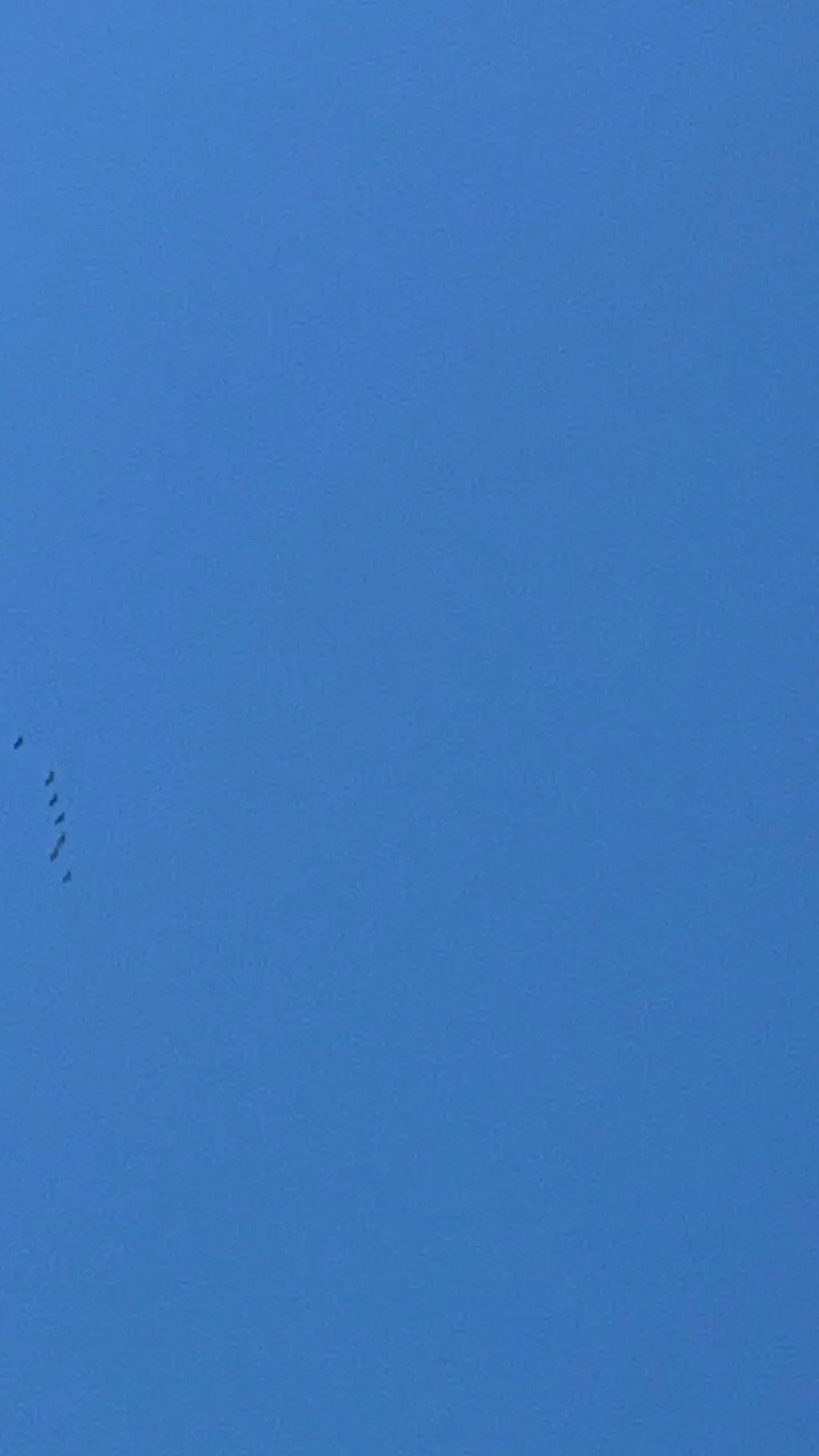 ai character: Stranger things  background