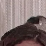 chat with ai character: waverly place 