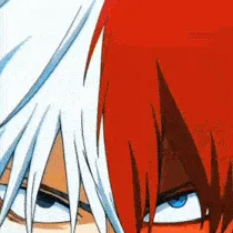 chat with ai character: Todoroki