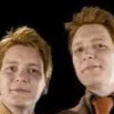 chat with ai character: Fred and George 