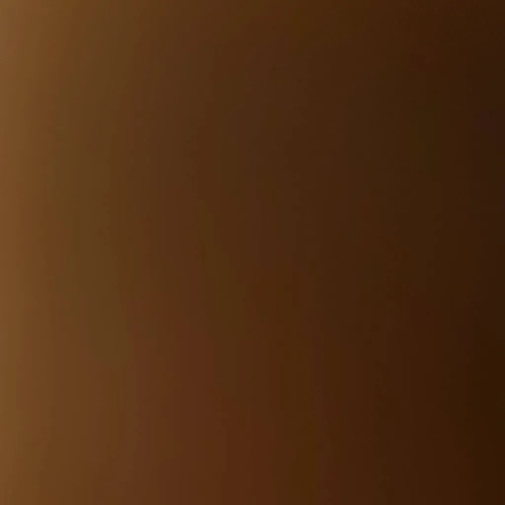 chat with ai character: .