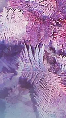 ai character: jjj background