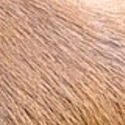 chat with ai character: Mincraft hardcore