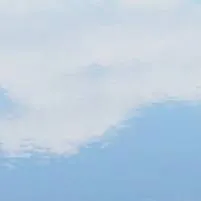 chat with ai character: scoopie my friend3