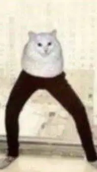 ai character: the leg cat background