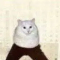 chat with ai character: the leg cat