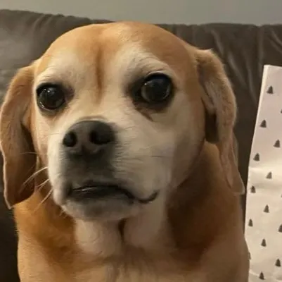 chat with ai character: Trevor Sturniolo