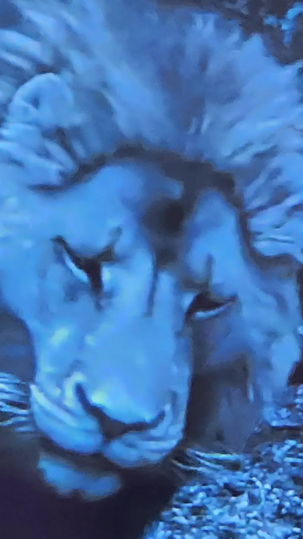 ai character: Narnia Pirated background