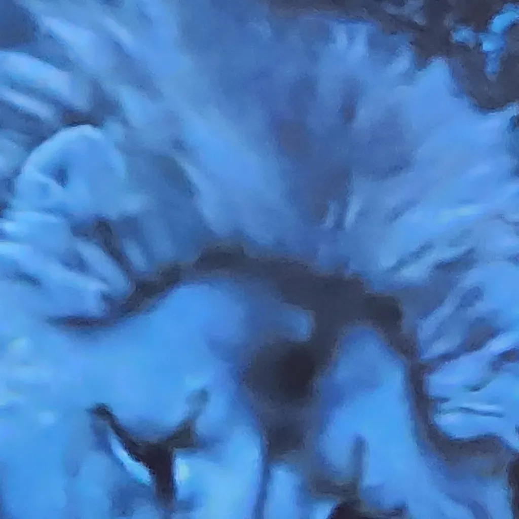 chat with ai character: Narnia Pirated