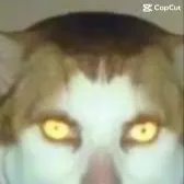 chat with ai character: Monday left me 