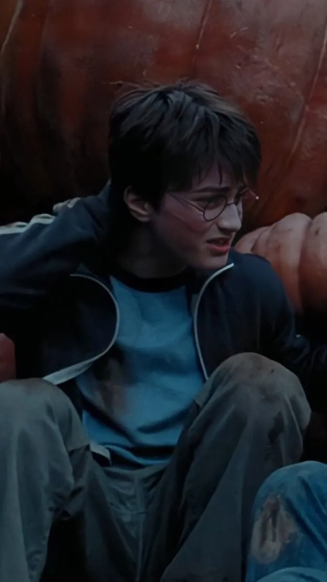 chat with ai character: Harry J. Potter