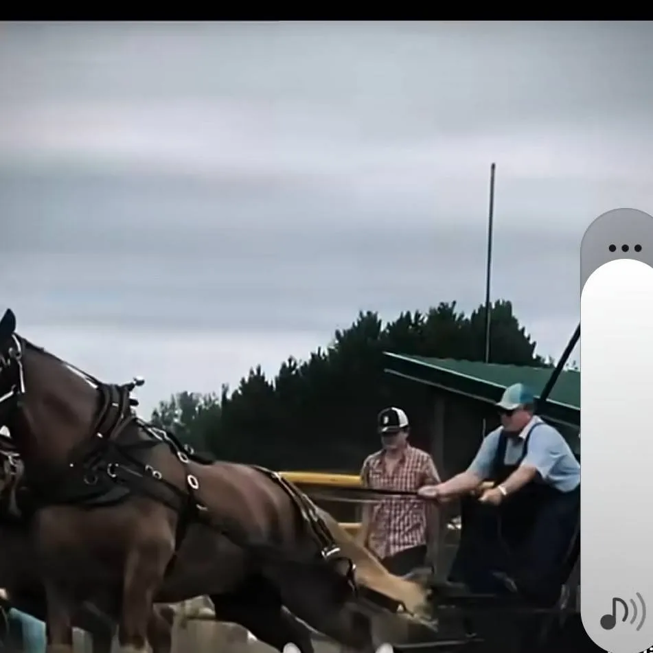 chat with ai character: Dw+bfdi