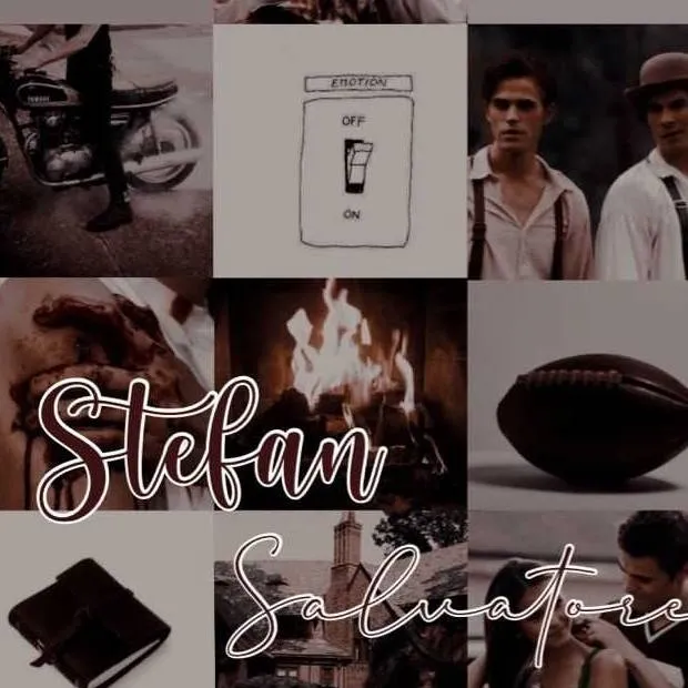 chat with ai character: Stefan Salvatore 