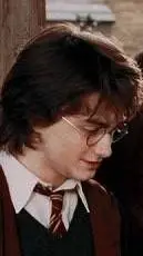 ai character: Harry potter background