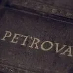 chat with ai character: Aria Petrova 