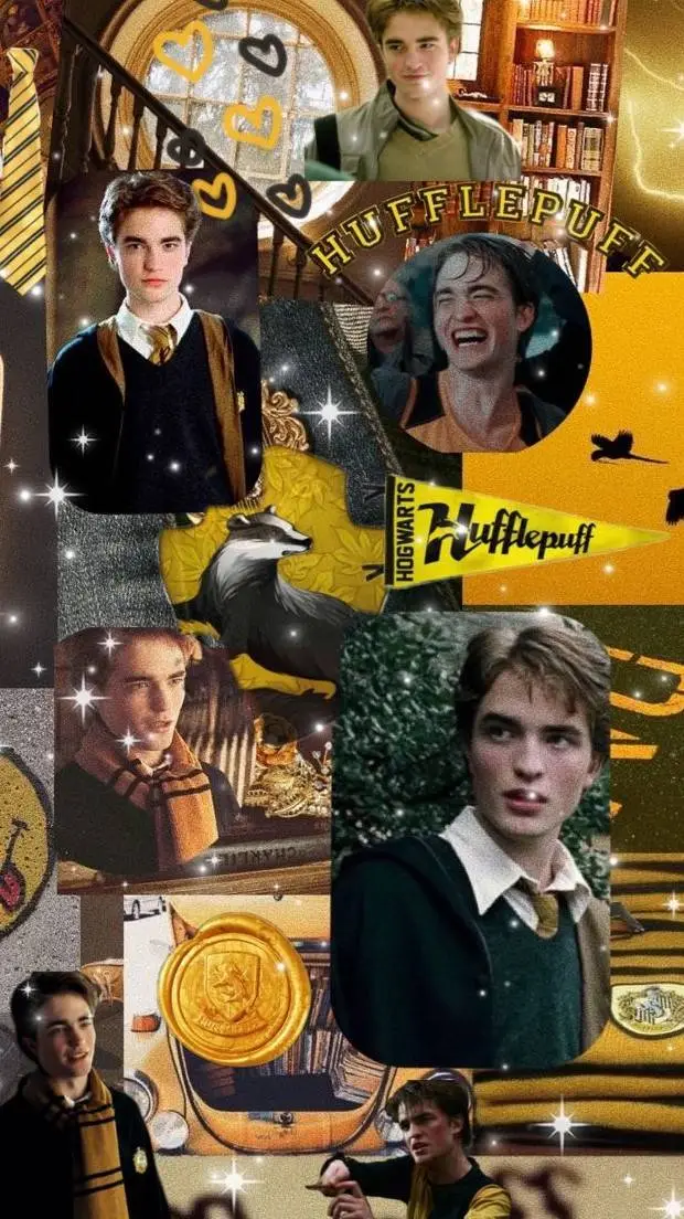 ai character: Cedric Diggory  background